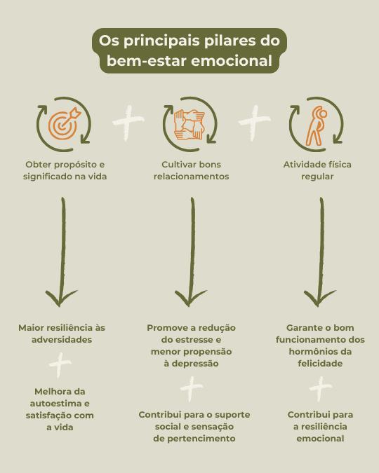 Os principais pilares do bem-estar emocional